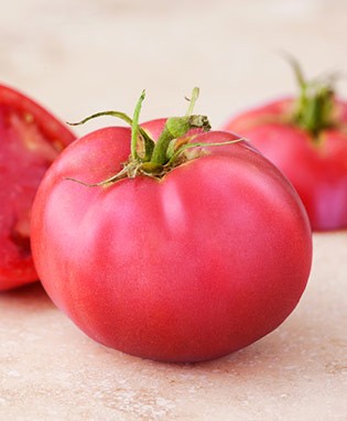 Pink Girl Tomato